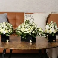 Purity group