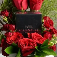 Coach perfume for men with red roses (men)