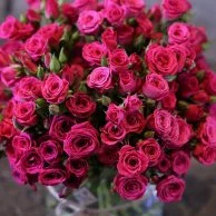 Baby Rose Fushi Vase