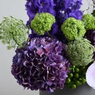 Gardenia box