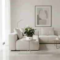 نبات انثريوم ابيض ثمين