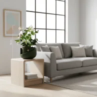 نبات انثريوم ابيض فاخر