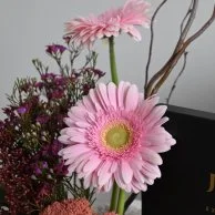 بطاقة إهداء من جو سبا مع أزهار الجاربيرا ( مساج )