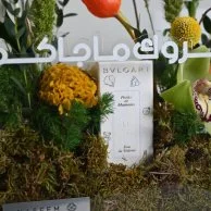 مبروك ما جاكم أورنج توليب | مع عطر بولغري للأطفال