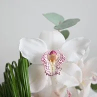 Cymbidium and Stilgrass vase