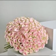 باقة أول حب