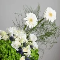 White gerbera flower vase