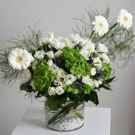 White gerbera flower vase