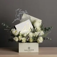 Diaa Al-Ilm