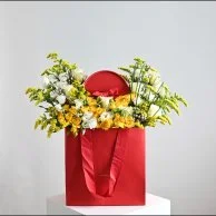 Hanoverian Chocolate Bag 4