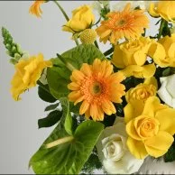 Blossom Aura Vase