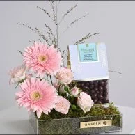 قاعدة تشوكلت دراجيه بستاني الوردية