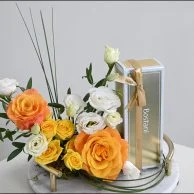ELVION 