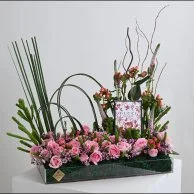 عطر بلوم من قوتشي مع زهور الفيرونكيا