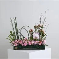 عطر بلوم من قوتشي مع زهور الفيرونكيا