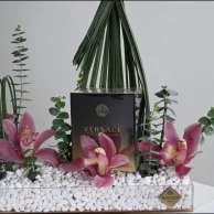 عطر نوار من فيرزاتشي مع زهور السمبيديوم