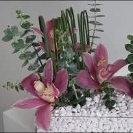 عطر نوار من فيرزاتشي مع زهور السمبيديوم