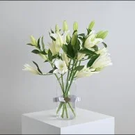 اشتراك كازابلانكا