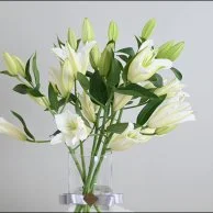 اشتراك كازابلانكا