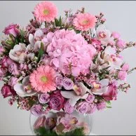 فازة لوليانا