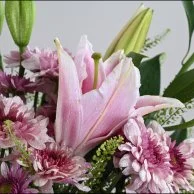 Soft Bloom
