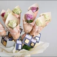 Light of Knowledge | with Chocolate