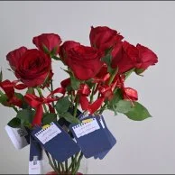 A Touch of Thanks Favors