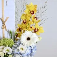 Lumière Vase with Bostani Chocolate