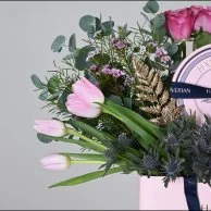 كيس شوكلت هانوفريان 3