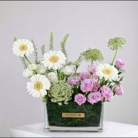 كيكة النوتيلا من لافيفيان 2026 | مع فازة تألق الجربيرا