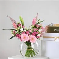 جربيرا روزين مع شوكولاتة بستاني