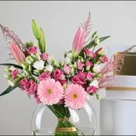 جربيرا روزين مع شوكولاتة بستاني