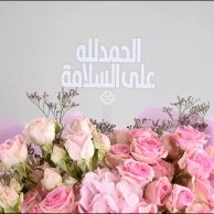 Pink Baby Rose & Hydrangea Bouquet | Get well soon