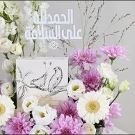 Gerbera & Delphinium Vase | Anoosh Chocolate