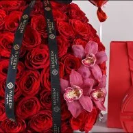 مجموعة غرام الحب