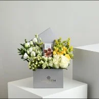 بوكس إلينا مع بستاني روشيه