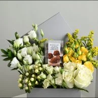 بوكس إلينا مع بستاني روشيه