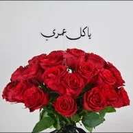 رواية الحب | يا كل عمري