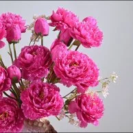 فازة ورد صناعي | فوشيا بيونيا