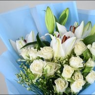 باقة بيبي بلو