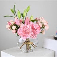 مجموعة تحديد جنس المولود Boy or Girl | فازة بينك هايدرنجا مع كيك