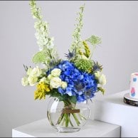 مجموعة تحديد جنس المولود Boy or Girl | فازة بلو هايدرنجا مع كيك