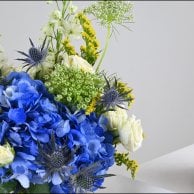 مجموعة تحديد جنس المولود Boy or Girl | فازة بلو هايدرنجا مع كيك