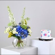 مجموعة تحديد جنس المولود Boy or Girl | فازة بلو هايدرنجا مع كيك