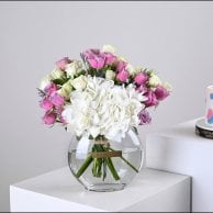 مجموعة تحديد جنس المولود Boy or Girl | فازة وايت هايدرنجا مع كيك