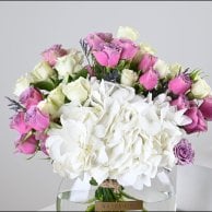 مجموعة تحديد جنس المولود Boy or Girl | فازة وايت هايدرنجا مع كيك