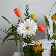 Congratulations to you, Orange Tulip With Bvlgari children's perfume