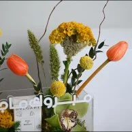 Congratulations to you, Orange Tulip With Bvlgari children's perfume