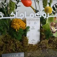Congratulations to you, Orange Tulip With Bvlgari children's perfume