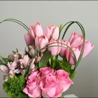 فازة التوليب الوردي